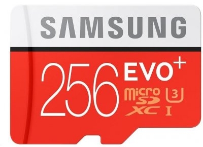 pomnilniška kartica - 256 GB micro SD kartica