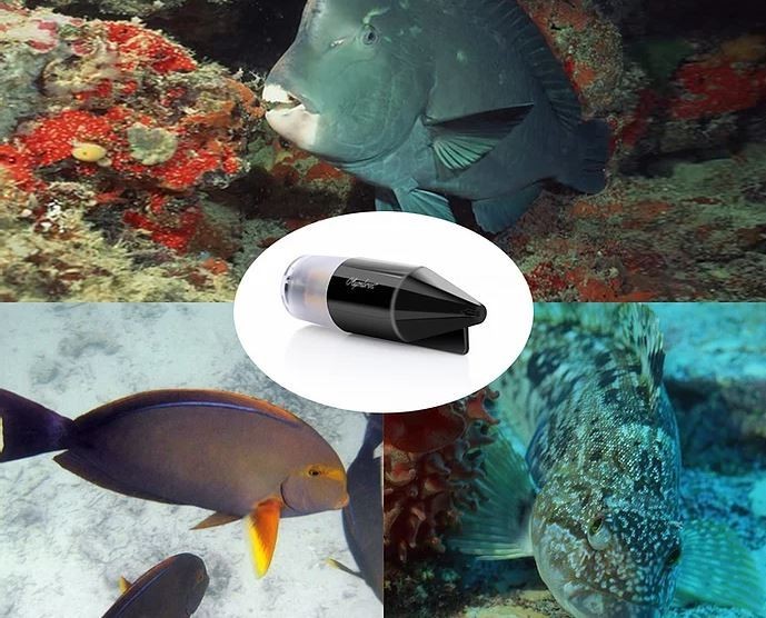 podvodna kamera za ribiče