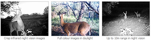 Swan Outback Cam z IR